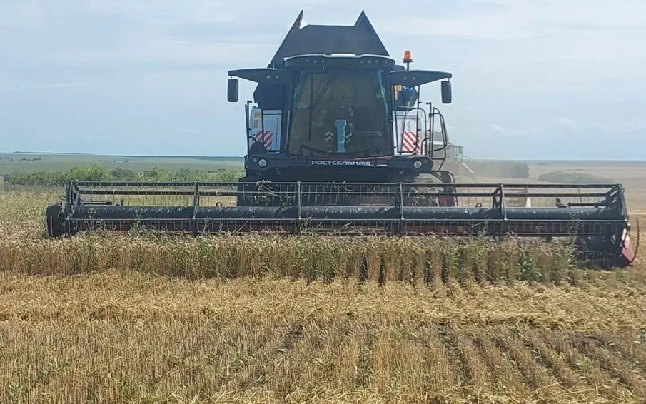 Уборочная кампания стартовала в Нижегородской области